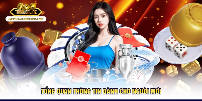 Tổng quan thông tin dành cho người mới